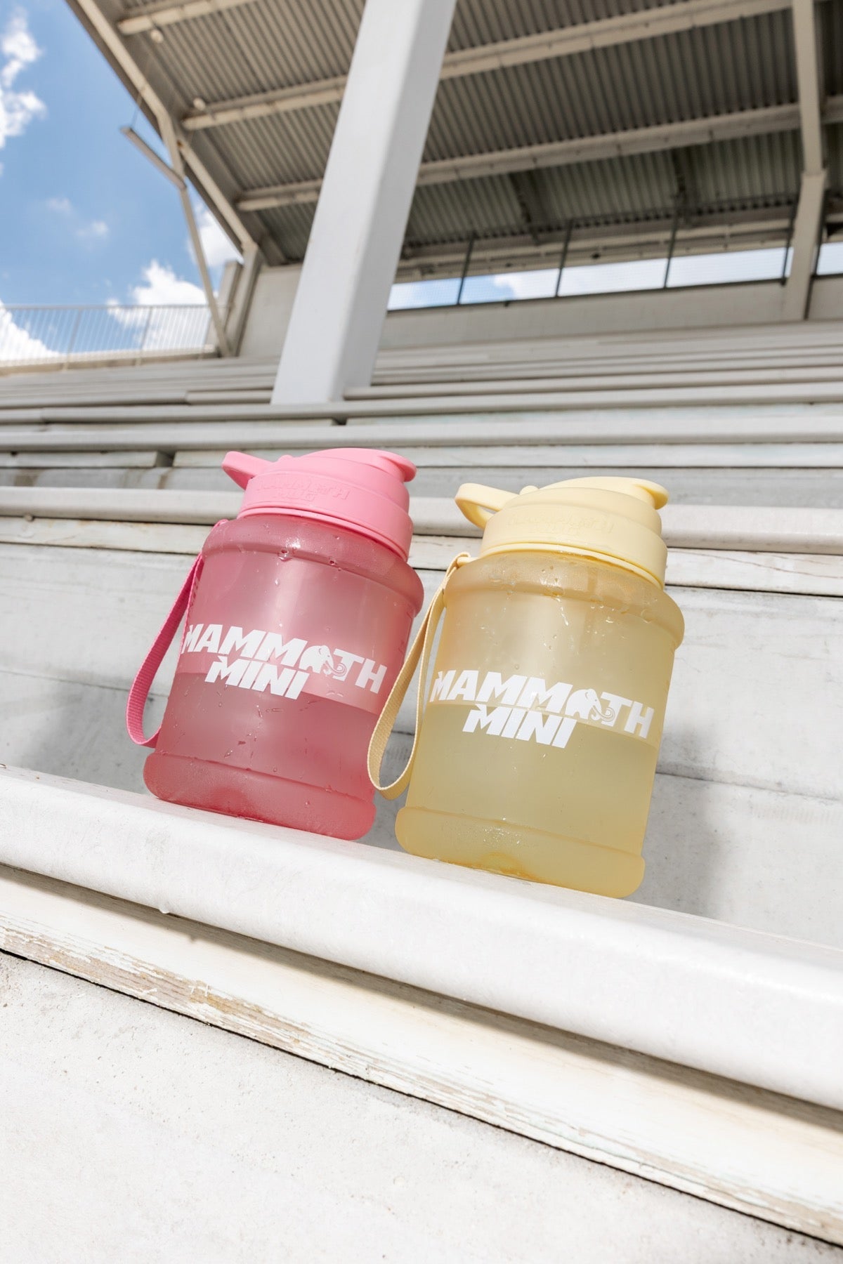 MAMMOTH MUG 2.5L