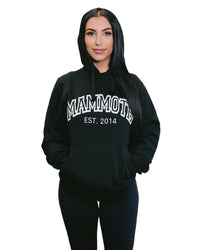 Varsity Hoodie