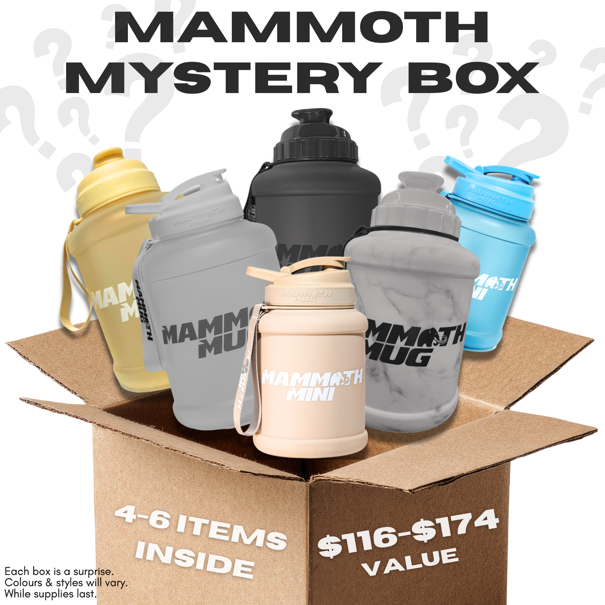 Mammoth Mystery Box | Premium Water Bottle Bundle (4–6 Items)