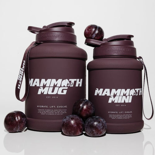 Mammoth Mug 2.5L - Plum