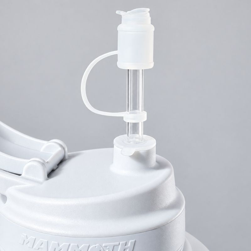 Mammoth Mug Straw Set