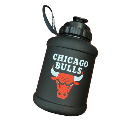 Chicago Bulls Cricut 