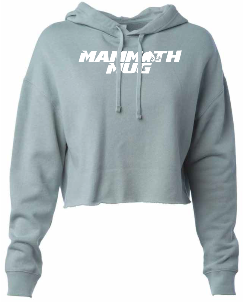 Mammoth Crop Hoodie - Teal